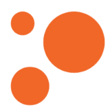 Logo for Blind Low Vision NZ