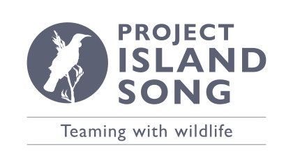 Logo for Project Island Song