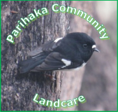 Logo for Parihaka Community Landcare