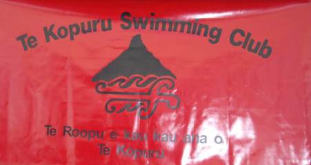 Logo for Te Kopuru Amateur Swimming Club Inc