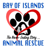 Logo for BOI Animal Rescue