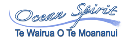 Logo for Te Wairua O Te Moananui - Ocean Spirit