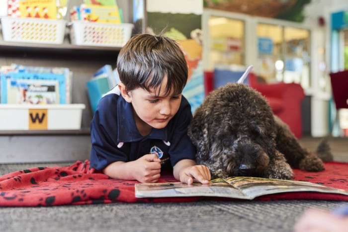 Child reading accompanied by dog